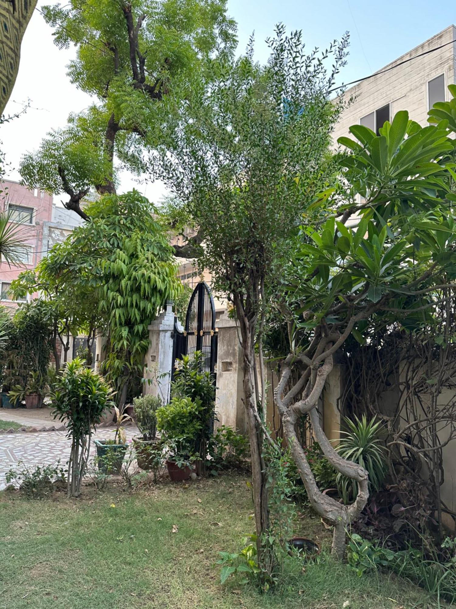 Jwala Niketan Jaipur Hotel Kültér fotó